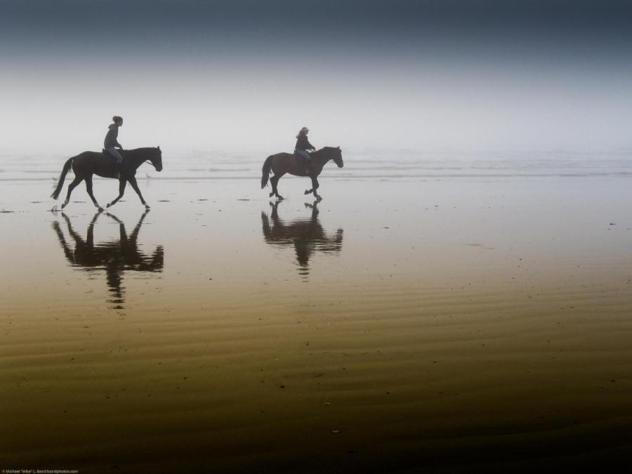 Hotel Victoria Bergen aan Zee Exteriör bild